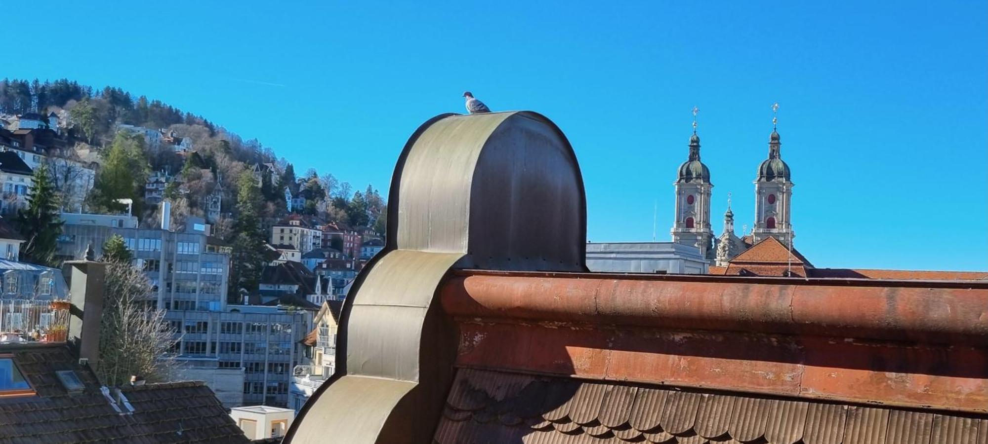 Ruhige, Neue Dachwohnung An Altstadt, Naehe Messe Sankt Gallen Eksteriør billede